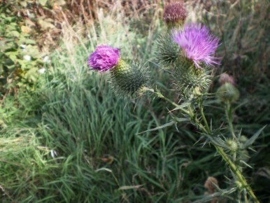 ����������� ������ � ������ � ������: ��� ����� � ������ ������