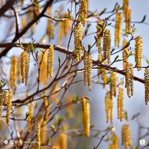 ����� �� ����� �40, ����������� ������� � �����