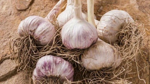 ��� ��������� ��������� ��� � ������: ������� ��������� ��������