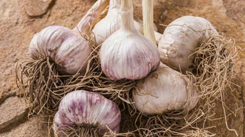 Как правильно сохранить лук и чеснок: секреты успешного хранения