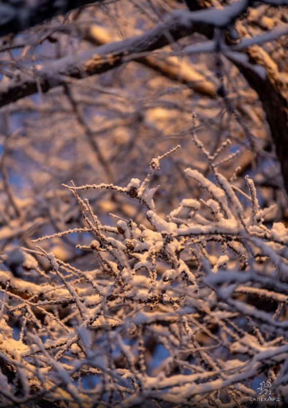 ������������� �� ��������, �� ��������� ����