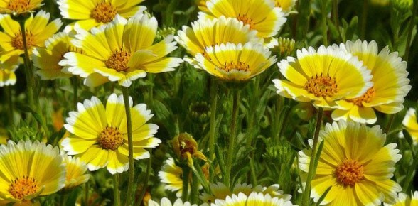 ���� �������: ��������������� ������ ��� ������ ����