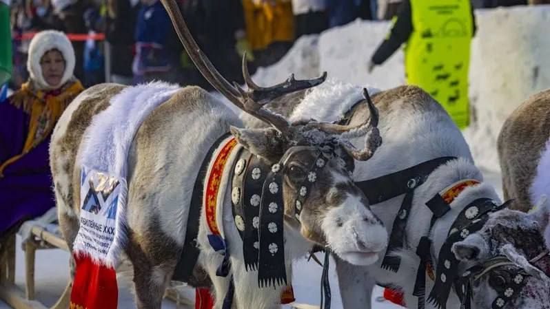 �������������� ������ ������� �� �������