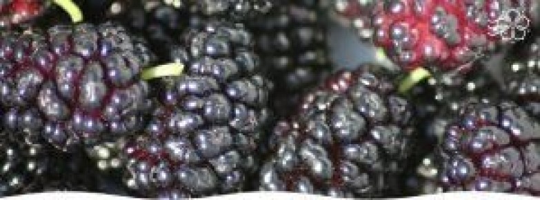 ��������� �� ������: ��� ��������� � ��������� �� ���� ������������ ������