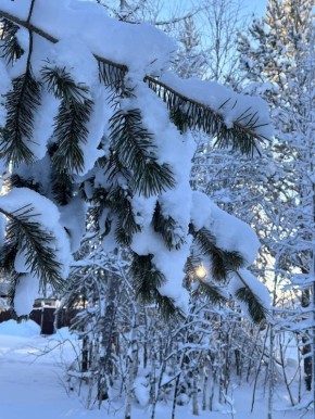 ЕДДС города Ноябрьска информирует: на 6:00 температура воздуха -31 градус, ветер переменных направлений 3 м/с