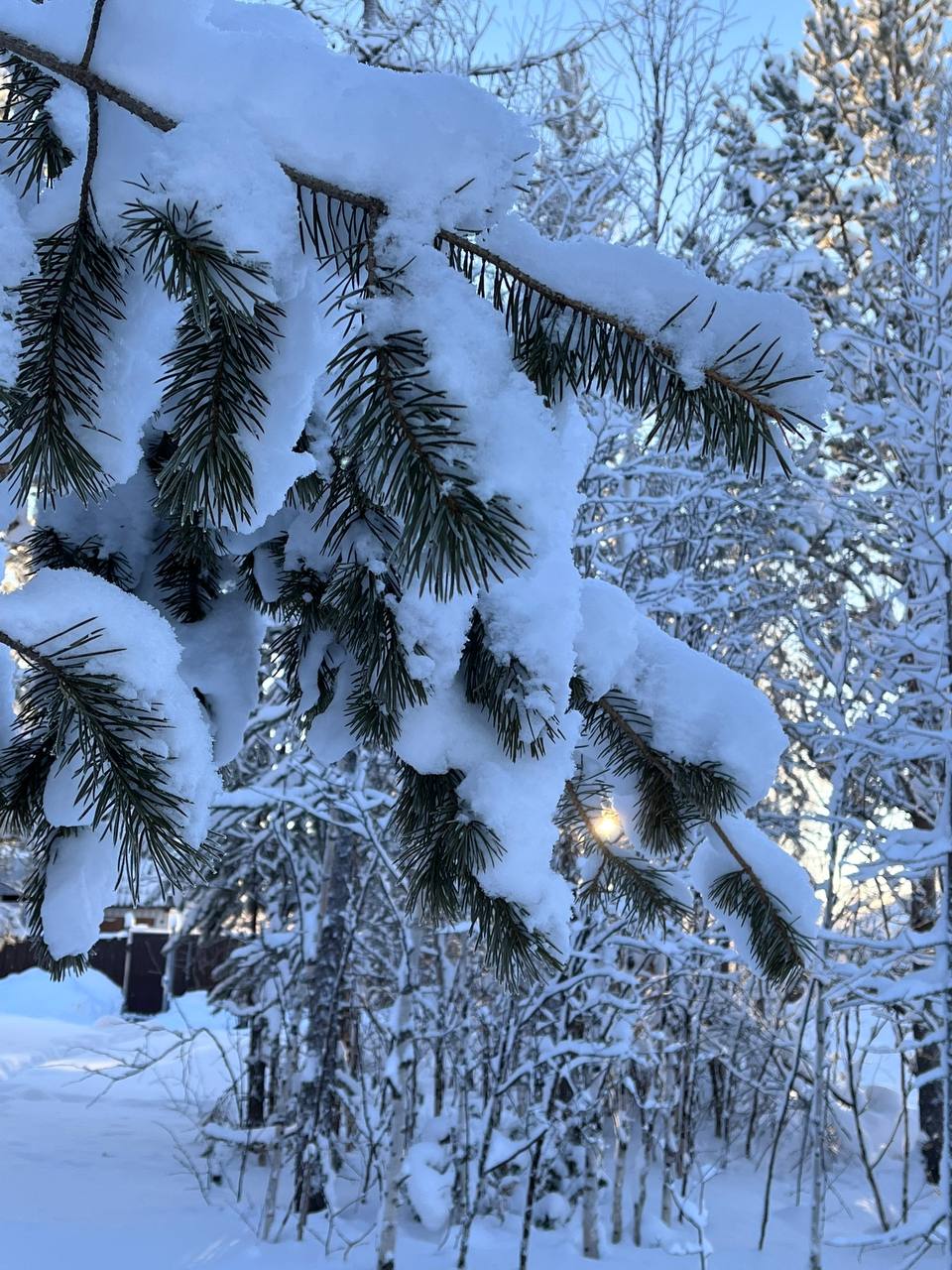 ЕДДС города Ноябрьска информирует: на 6:00 температура воздуха -31 градус, ветер переменных направлений 3 м/с