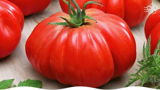 ���� ���� F1: ������, ������� ���������� ������ � ������������