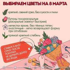 8 ����� ����� ���������� ������� �������� ��������