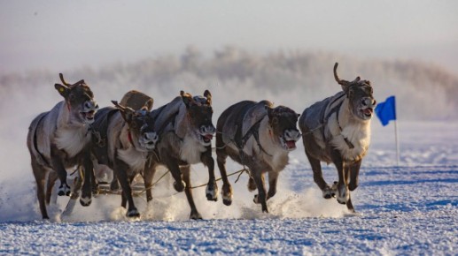 ���� ����, ������ �����... �� ������� ������ �������!