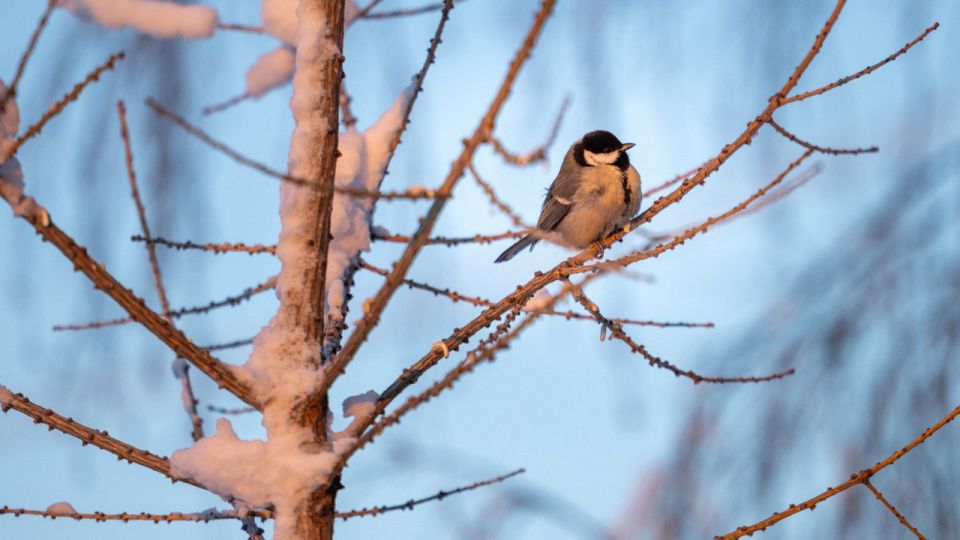 ������� ����, ��������!. ������� ���������, � ������ � ��� � ��� ���������, �������� ��������� �����