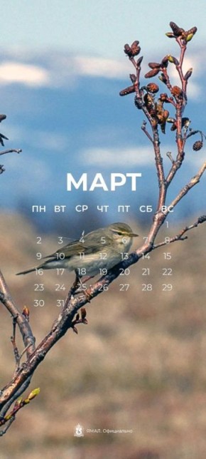 �������� ��������� � ���������� ��������� � ����������� � ���, ��� ��������� ����� �����