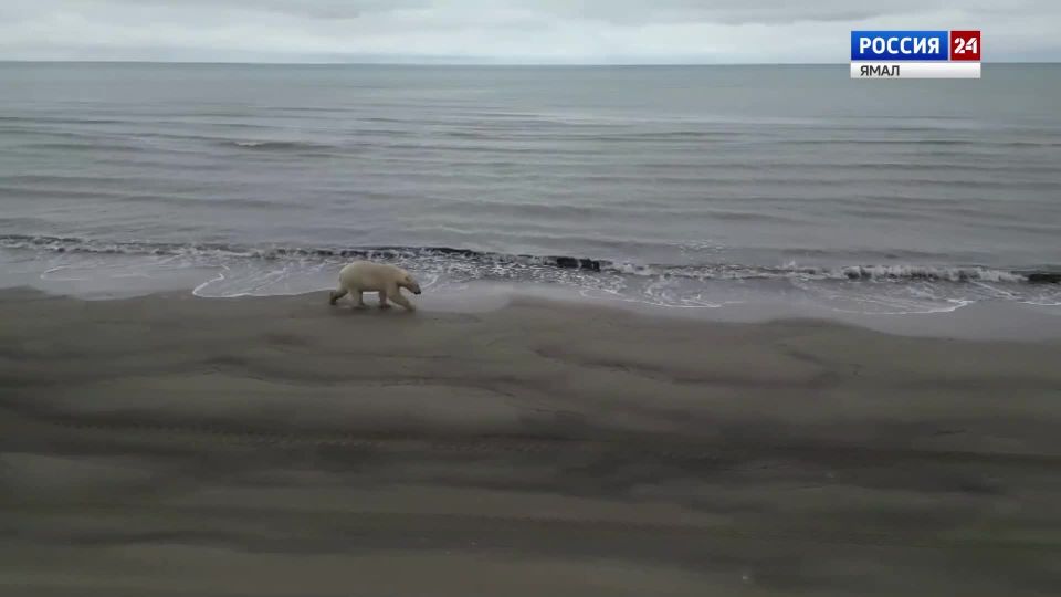 ��� ��������, �� � ��� ������� ������