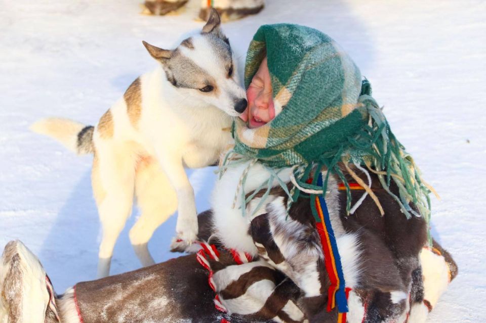 ������ ����, �������!. ������ ��� �������� � ��������� �������