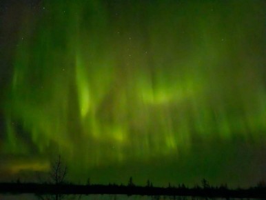 Подарок от северного неба. Праздничные дни выдались холодными, но даже у мороза есть преимущество — больше возможностей увидеть сияние! : АВРОРА НУР