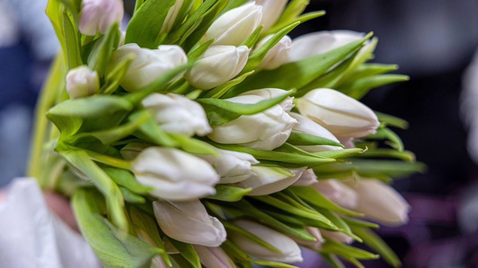 ������� ������������ ����,��������!