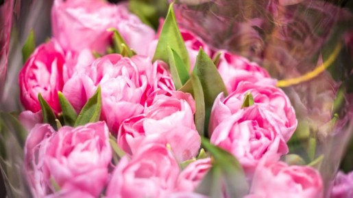 ��� ��������� ����� � �� ���� ��� �������� �� ������ ����