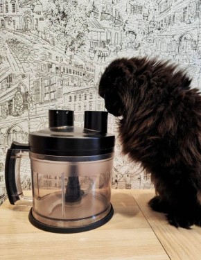 ��� ������� ��������� ������������ ����� ������ �����