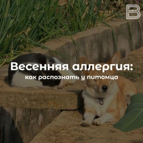 �������� �������� � ����, ����� ��������, ��� ������?