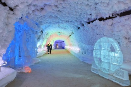 ���� ��������� ������-�������������� ��������