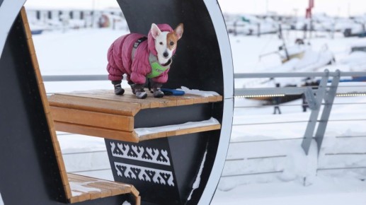 ������� ����, ��������!. ��������� ��������� ����� � ������� ����������, � ������� �� ��� ��� � � ��������, �� ����������� �������� �����