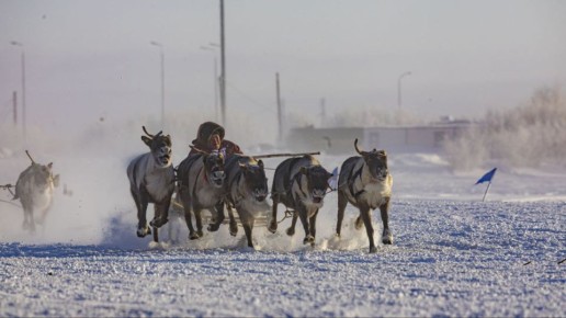 ����� ���������� ����� ����� �������� �����