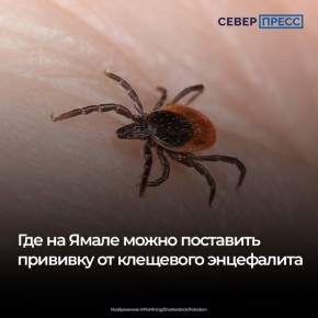 ����� ���������� ������ �������� ����� �����, ������ ���������� �� ���������� ���������� ������ ��� ������