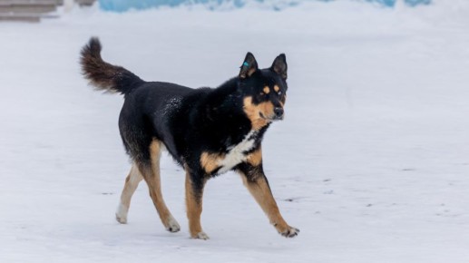 ������� ����, ��������!. ���� ������� ������� ���� ����� � ��� �������, ���� ������ ���� ��������� ����������� ��������