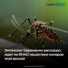 �������� ��������� ���� ���� � ��������� �������� ������� ������� ������������� ������� ��� ����������� �������