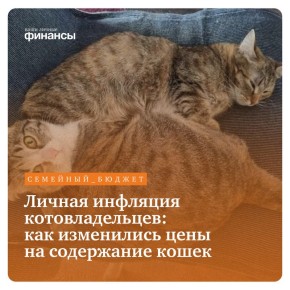 ��� ���������� ������� �������������� � �������� ������ ��������