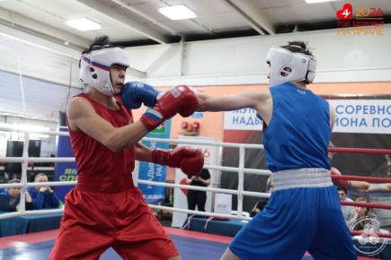 В Надымском районе проходят муниципальные соревнования по боксу