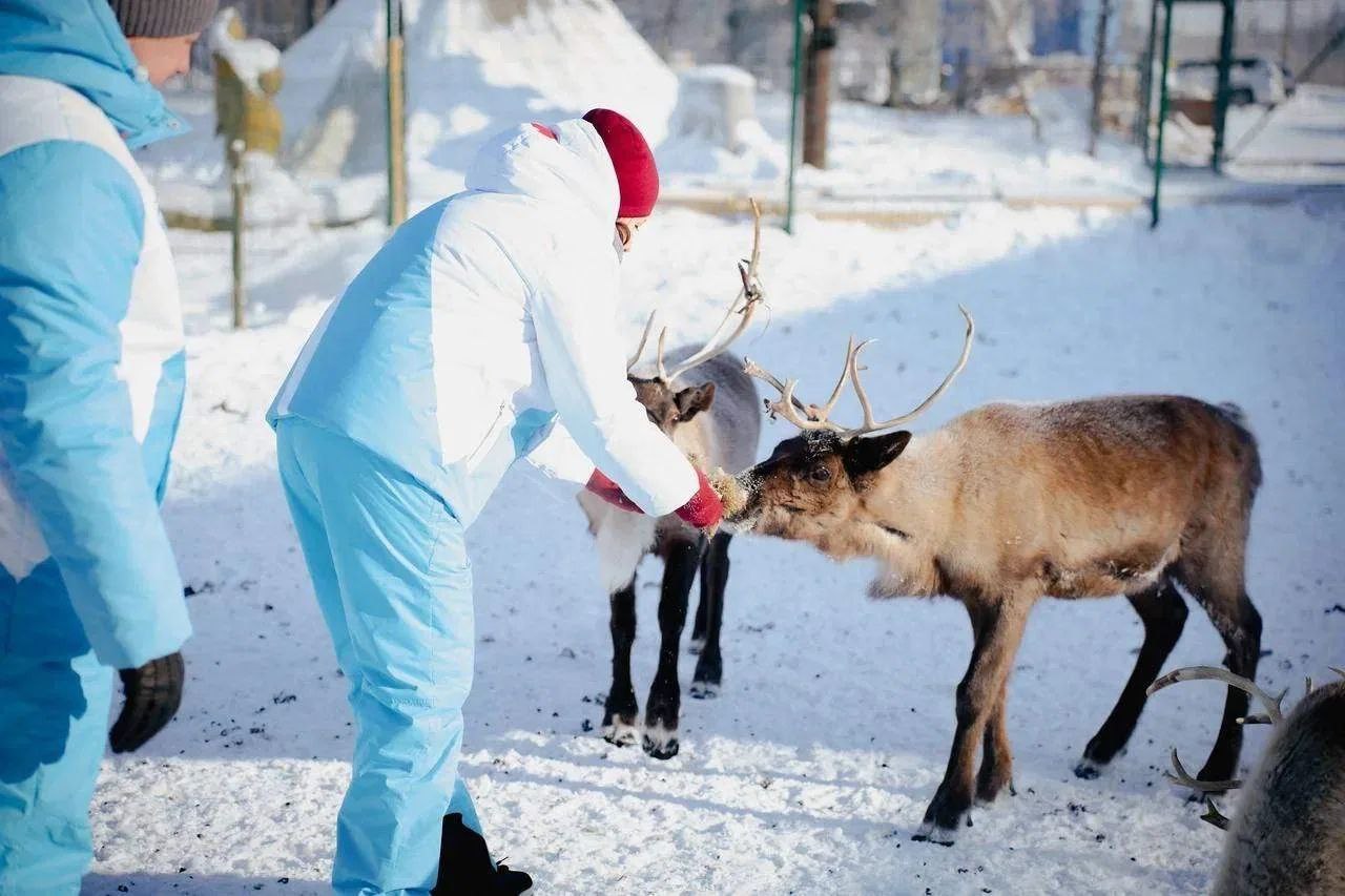 Семейная пара из Волновахи, выигравшая путёвку в Новый Уренгой, впервые побывала на Севере Семейная пара из Волновахи, выигравшая путёвку в Новый Уренгой, впервые побывала на Севере