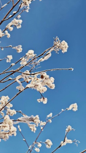 Доброе утро, ямальцы!. Выспались?