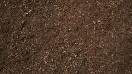 Севооборот: ключ к успешному дачному хозяйству