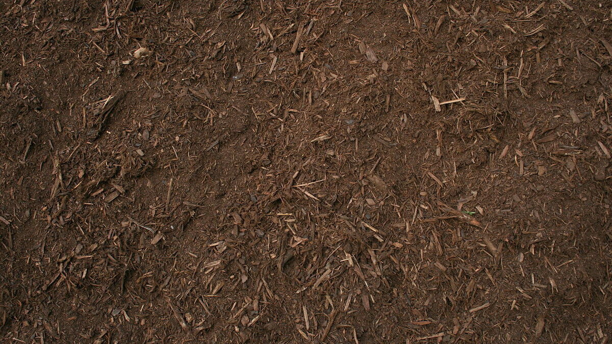 Севооборот: ключ к успешному дачному хозяйству