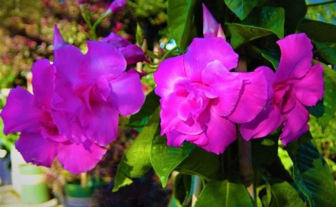 ����������: ����� �������� ��� ������ ���� � ���������