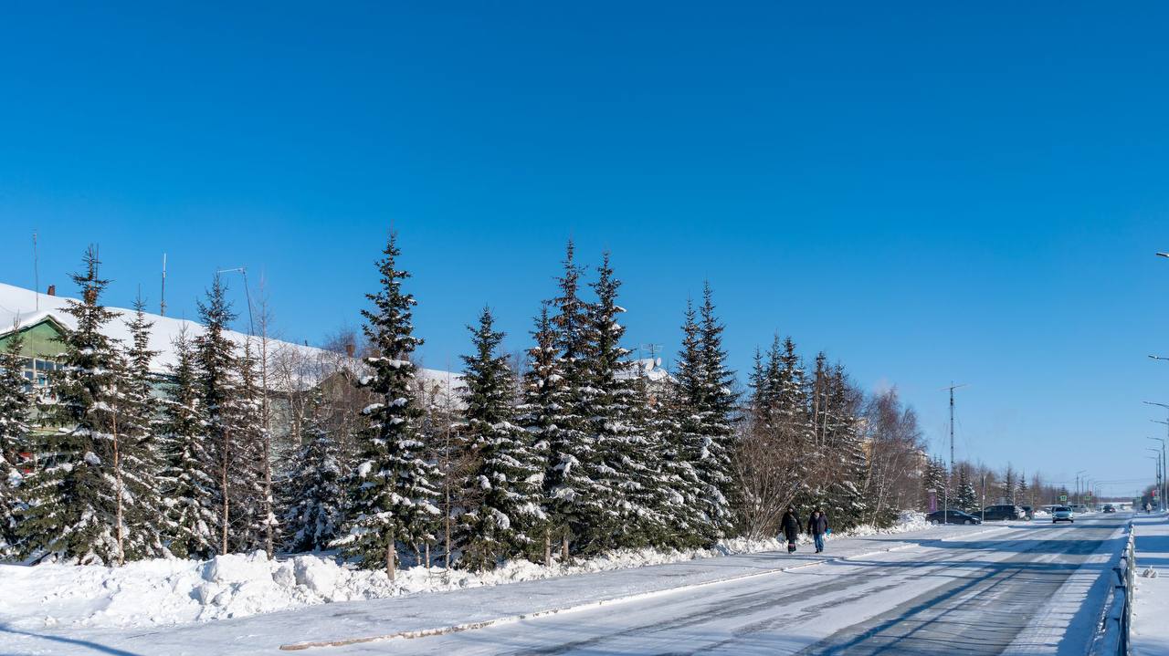Тихое пробуждение Севера. Деревья стоят в белом ажуре, дома укутаны снегом, но солнце уже греет иначе — почеловечески Тихое пробуждение Севера. Деревья стоят в белом ажуре, дома укутаны снегом, но солнце уже греет иначе — почеловечески
