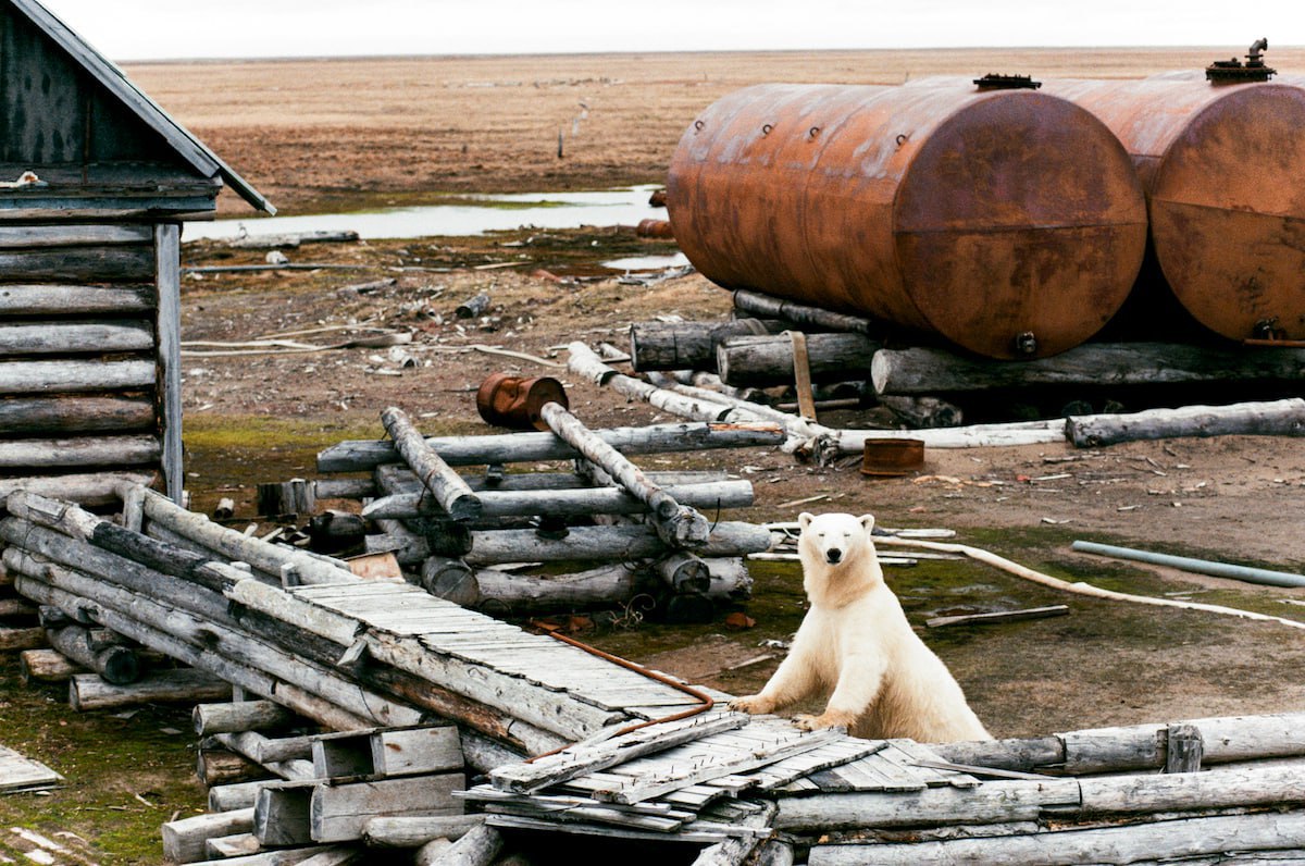 #* Подборка интересных новостей из регионов к этому часу #* Подборка интересных новостей из регионов к этому часу