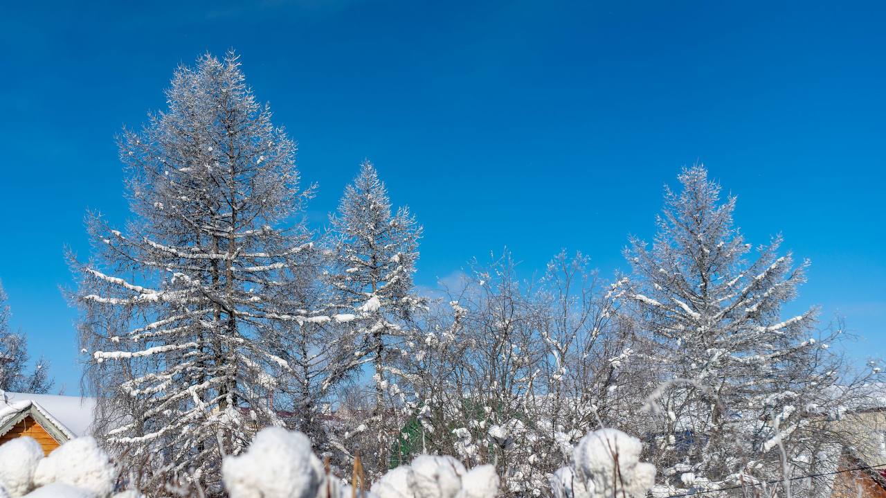 Тихое пробуждение Севера. Деревья стоят в белом ажуре, дома укутаны снегом, но солнце уже греет иначе — почеловечески Тихое пробуждение Севера. Деревья стоят в белом ажуре, дома укутаны снегом, но солнце уже греет иначе — почеловечески