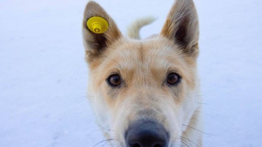 ������� ������� � ���������