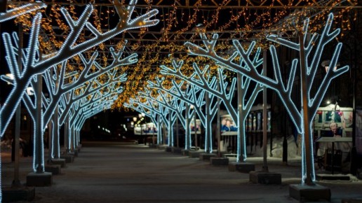 ����� �������� ����, � ����� ��� �������� ������