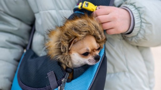 Доброго утра, Салехард!. Градусник сегодня решил поиграть с нами в хорошего и плохого полицейского: обещает разброс от -9 до оптимистичных +1 °C. Но мы-то местные, нас случайным плюсом не проведешь