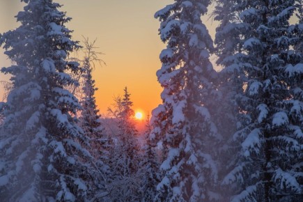 ��� ������, 20 �����, �������� ���� ��������� �������������