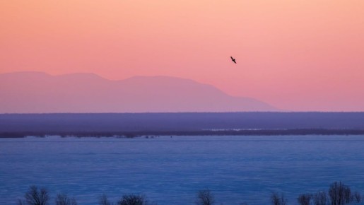 ��������� ���� � ��� �������� �����