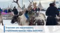 В Салехарде на Дне оленевода пройдет парад оленьих упряжек