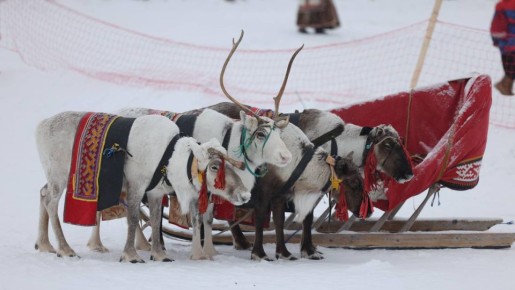 ������ ������� �� ���� ���������