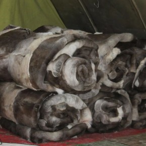 ����������� ���� ������� ��������� ��� ���������� �����