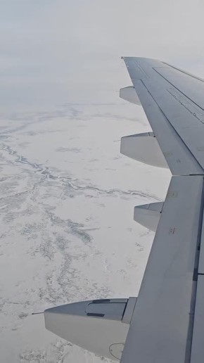 ����������� � ����, ����� ������� ���� ������ �������