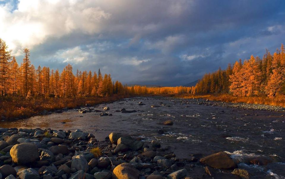 ����� �� ������ �������� ������ � ������������� ������������� ��������� ������������ ����� �� ����� � ����������� ������� - ��������