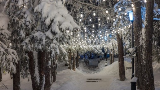 Доброй ночи, любимый Салехард