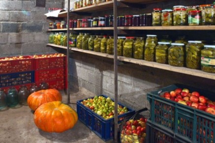 Секреты зимнего хранения урожая: как сохранить свежесть до весны